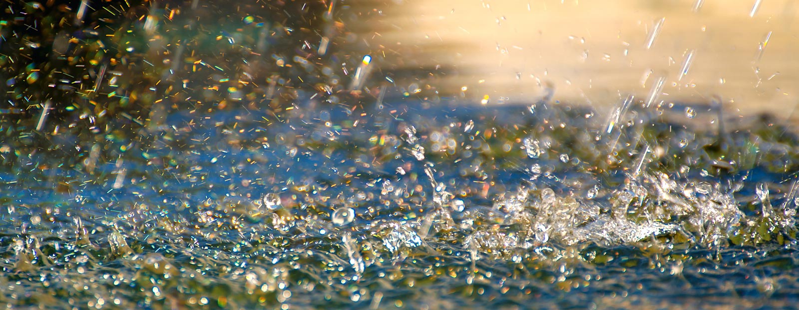 Regen- und Grauwassernutzung